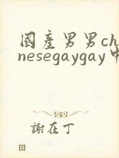 国产男男chinesegaygay中国帅哥网站封面