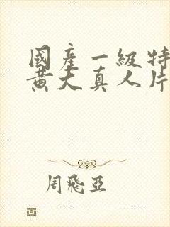 国产一级特黄色黄大真人片