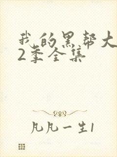 我的黑帮大佬第2季全集