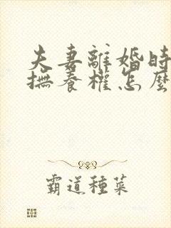 夫妻离婚时小孩抚养权怎么判封面