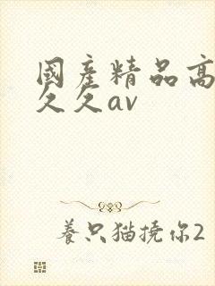 国产精品高潮久久久av