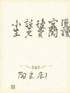 小说后宫猎艳重生免费阅读