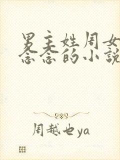 男主姓周女主叫念念的小说