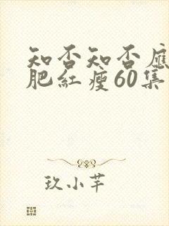 知否知否应是绿肥红瘦60集封面