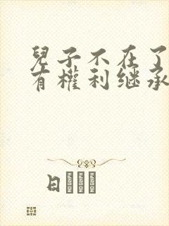 儿子不在了母亲有权利继承遗产吗封面