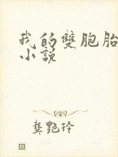 我的双胞胎老婆小说