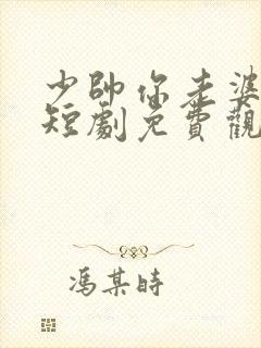 少帅你老婆又跑短剧免费观看