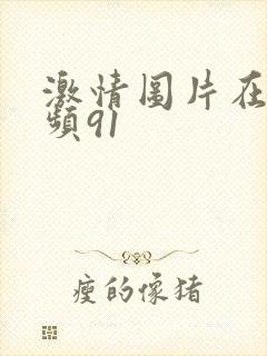 激情图片在线视频91