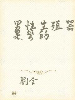 男性生殖器硬了是弯的