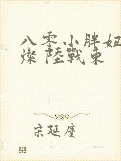 八零小胖妞 苏灿 陆战东