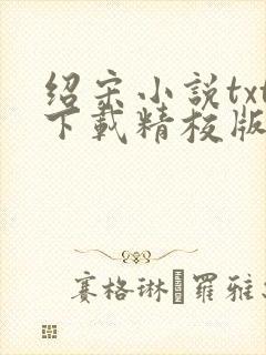 绍宋小说txt下载精校版