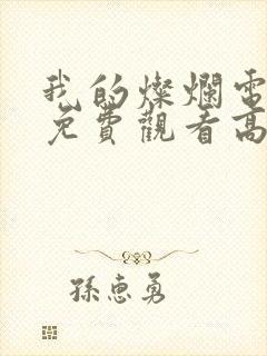 我的灿烂电视剧免费观看高清