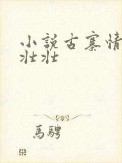 小说古寨情缘安壮壮