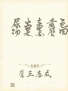 尿出来黄色浑浊物是怎么回事