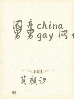 国产china男男gay 网站