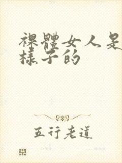 裸体女人是什么样子的