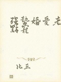 强势婚爱老公轻点宠