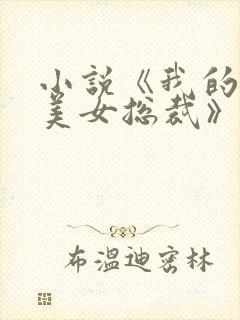 小说《我的极品美女总裁》