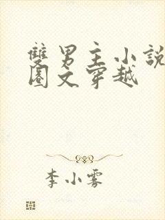 双男主小说娱乐圈文穿越封面