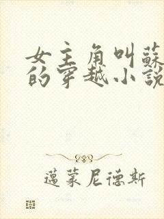 女主角叫苏浅浅的穿越小说