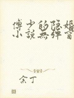 傅少的隐婚娇妻小说无弹窗