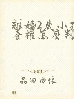 离婚2岁小孩抚养权怎么判定
