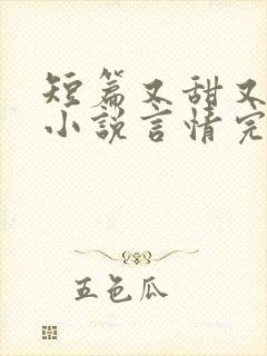 短篇又甜又撩的小说言情完结