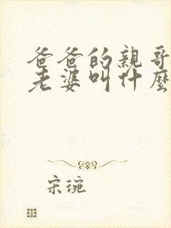 爸爸的亲哥哥的老婆叫什么称呼封面