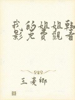 我的姐姐韩国电影免费观看封面