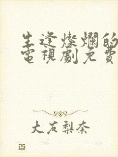 生逢灿烂的日子电视剧免费在线观看