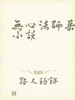 无心法师岳绮罗小说