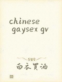 chinese gaysex gv