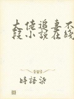 大佬追妻不择手段小说在线