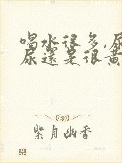 喝水很多,尿的尿还是很黄是怎么回事封面