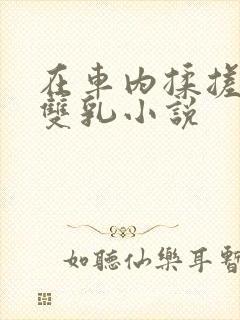 在车内揉搓她的双乳小说