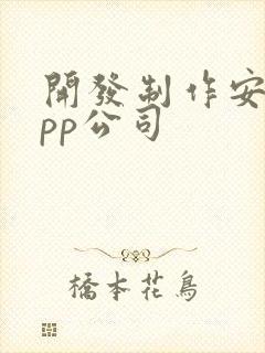 开发制作安卓app公司