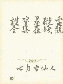 护宝寻踪电视剧全集在线观看免费播放