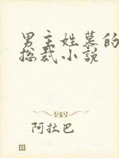 男主姓慕的所有总裁小说封面