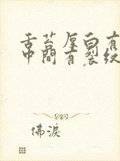 舌苔厚白有齿痕中间有裂纹是怎么回事