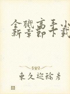 全职高手小说最新章节下载