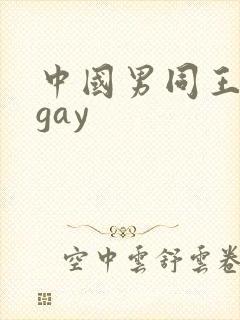 中国男同王伦宝gay封面