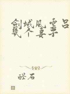 剑域风云吕阳有几个妻子