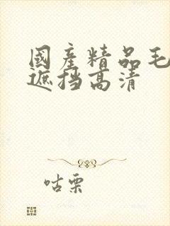 国产精品毛片无遮挡高清