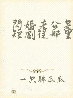 闪婚老公是总裁短剧从哪里看全片