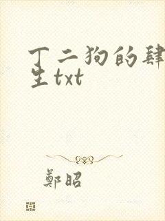 丁二狗的肆意人生txt