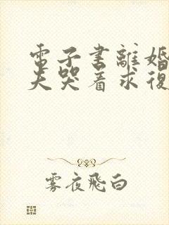 电子书离婚后前夫哭着求复婚