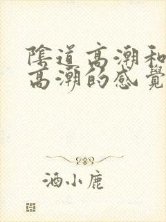 阴道高潮和阴蒂高潮的感觉是一样的吗