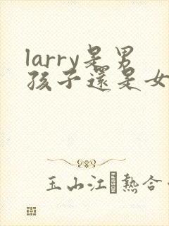 larry是男孩子还是女孩子