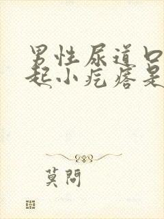 男性尿道口外面起小疙瘩是怎么回事