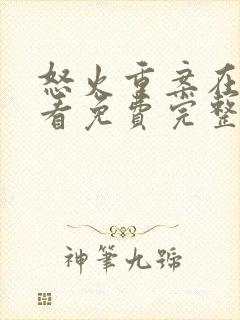 怒火重案在线观看免费完整版国语版封面